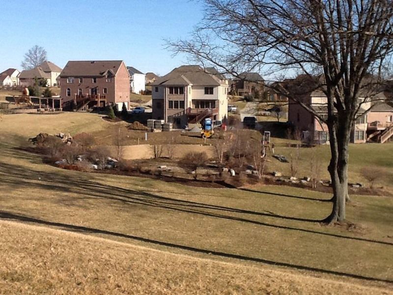 Houses on a hill, brown grass, retaining wall, bare tree in foreground, clear sky.