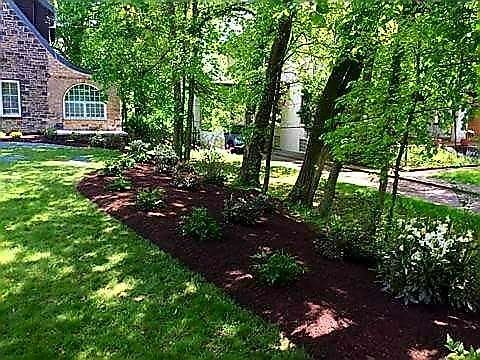 A well-manicured yard with a mulch-covered garden bed and trees in front of a brick house.