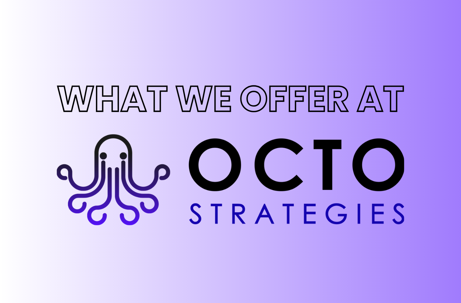 A purple background with the words what we offer at octo strategies