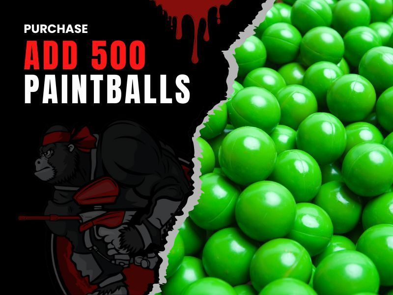 500 Paintballs Price