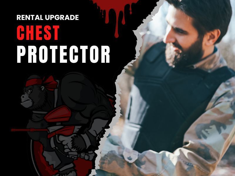 1000 Paintballs Price