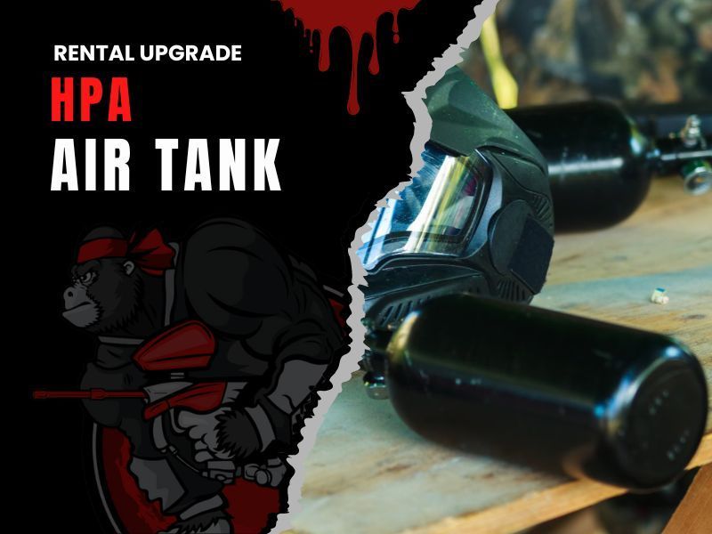 500 Paintballs Price