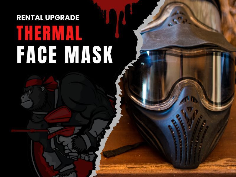 100 Paintballs Price