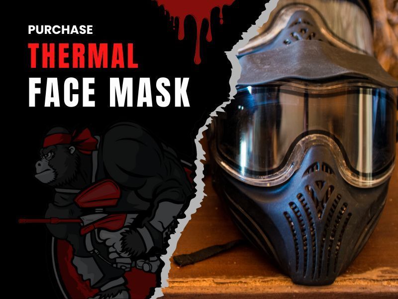 100 Paintballs Price