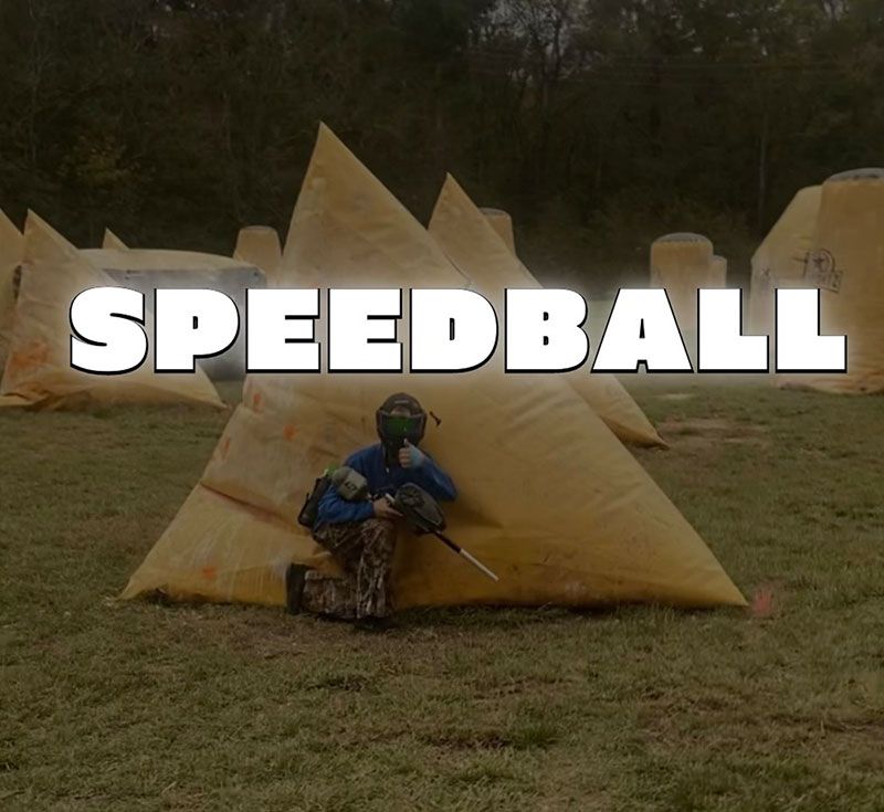 1000 Paintballs Price