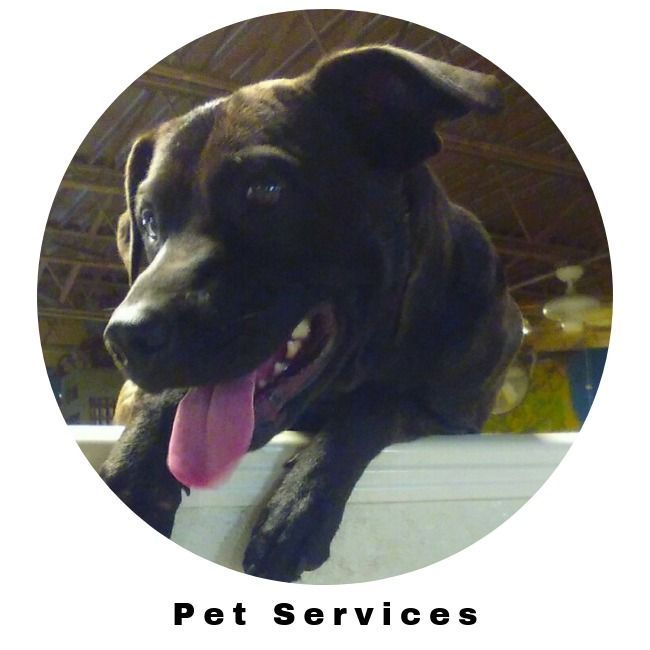 Black dog with tongue out in a circular “Pet Services” logo on a white background