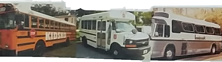 three school buses are parked next to each other on a street .