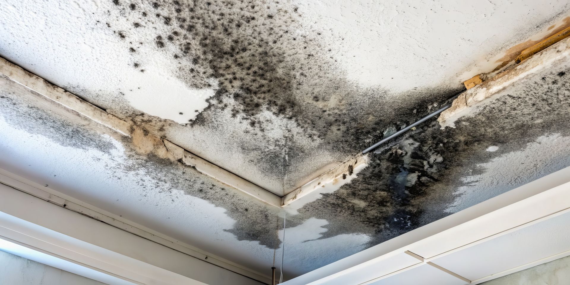 A corner of a white ceiling showing water damage, peeling paint, and dark patches of mold growth.