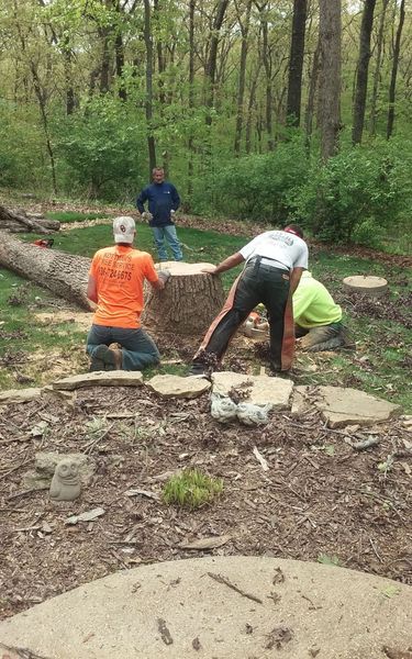 Men in a forest clearing, removing a tree stump; one kneels in orange, others in blue and yellow.