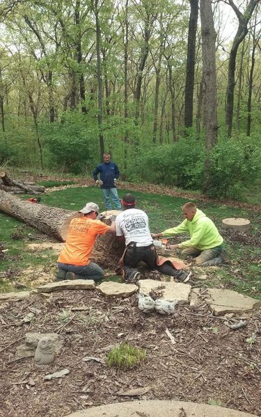 Men cutting a large tree trunk in a wooded area, with one man standing and observing.