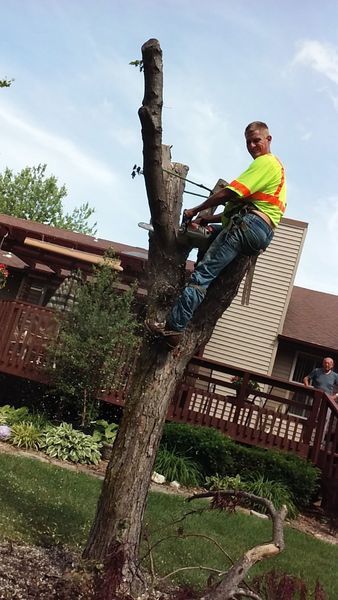 Man in safety gear trimming a tree. Yellow safety vest, blue jeans, in front of a house with a deck.