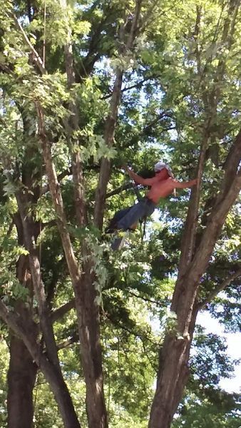 Man in tree, bare-chested, arms outstretched, climbing among green leaves, blue sky visible.