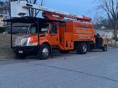 Orange tree service truck with lift parked on a street, trailer attached.