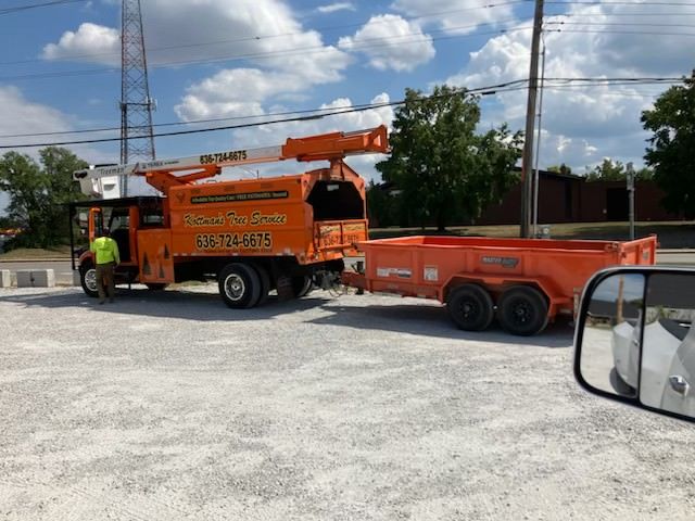 Red skid steer loader with a grapple lifting tree branches.