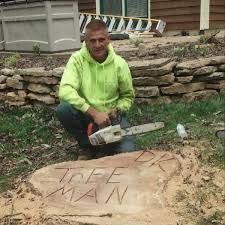 Red chainsaw cutting a brown log outdoors.