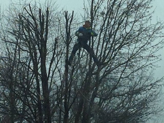 Person jumps in a bare tree, arms out. Cloudy sky.