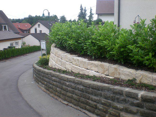 Eine Steinmauer mit Pflanzen darauf