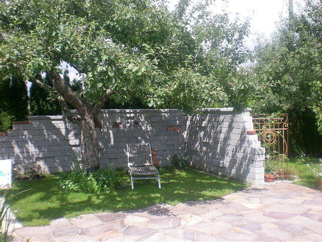 Ein Baum in einem Garten mit einer Steinmauer dahinter