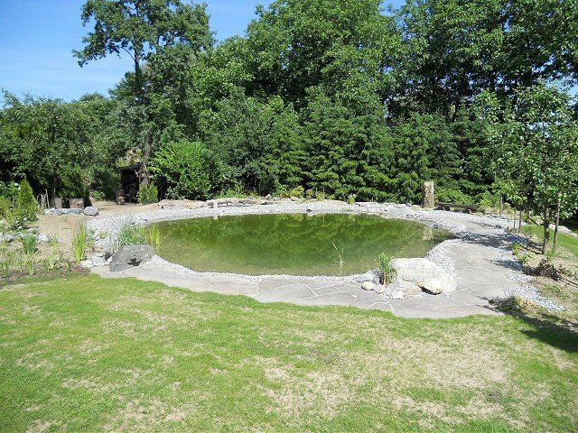 Ein großer Teich inmitten einer üppig grünen Wiese, umgeben von Bäumen.