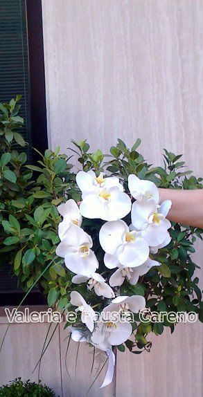 mano che tiene dei fiori bianchi