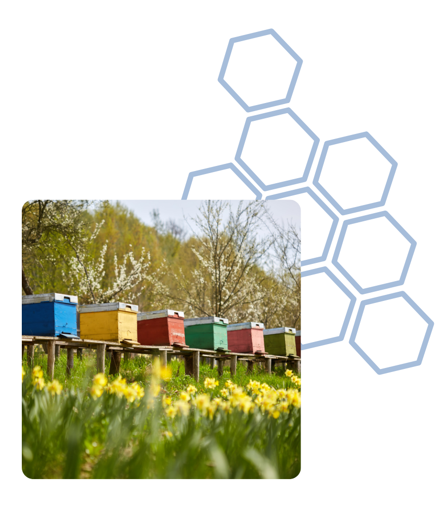 Hive Tours