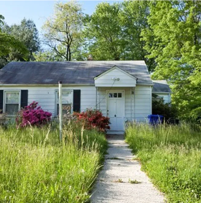 A small white house is surrounded by tall grass and trees