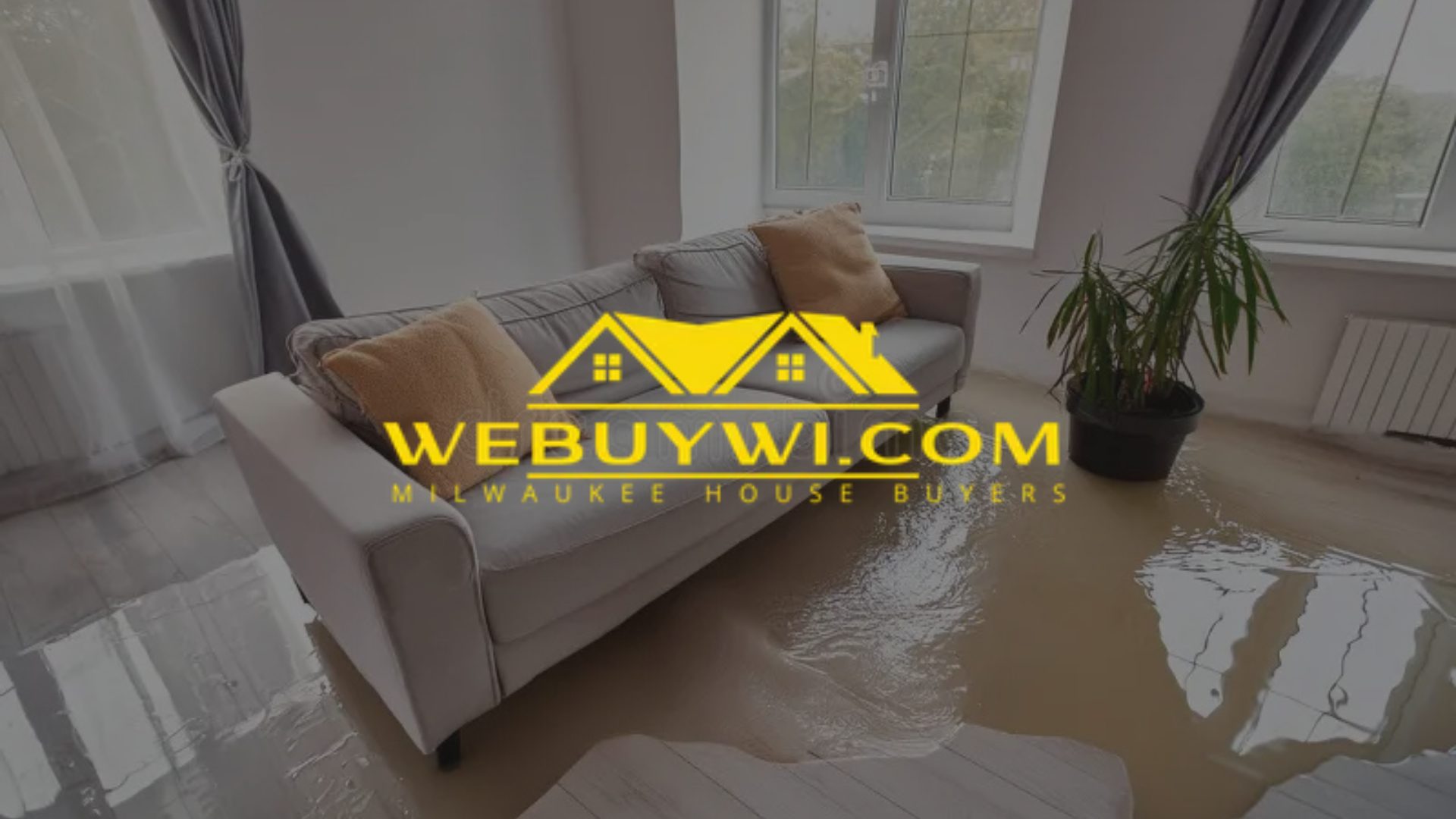 Living room with water damage, a sofa, window, and a plant.