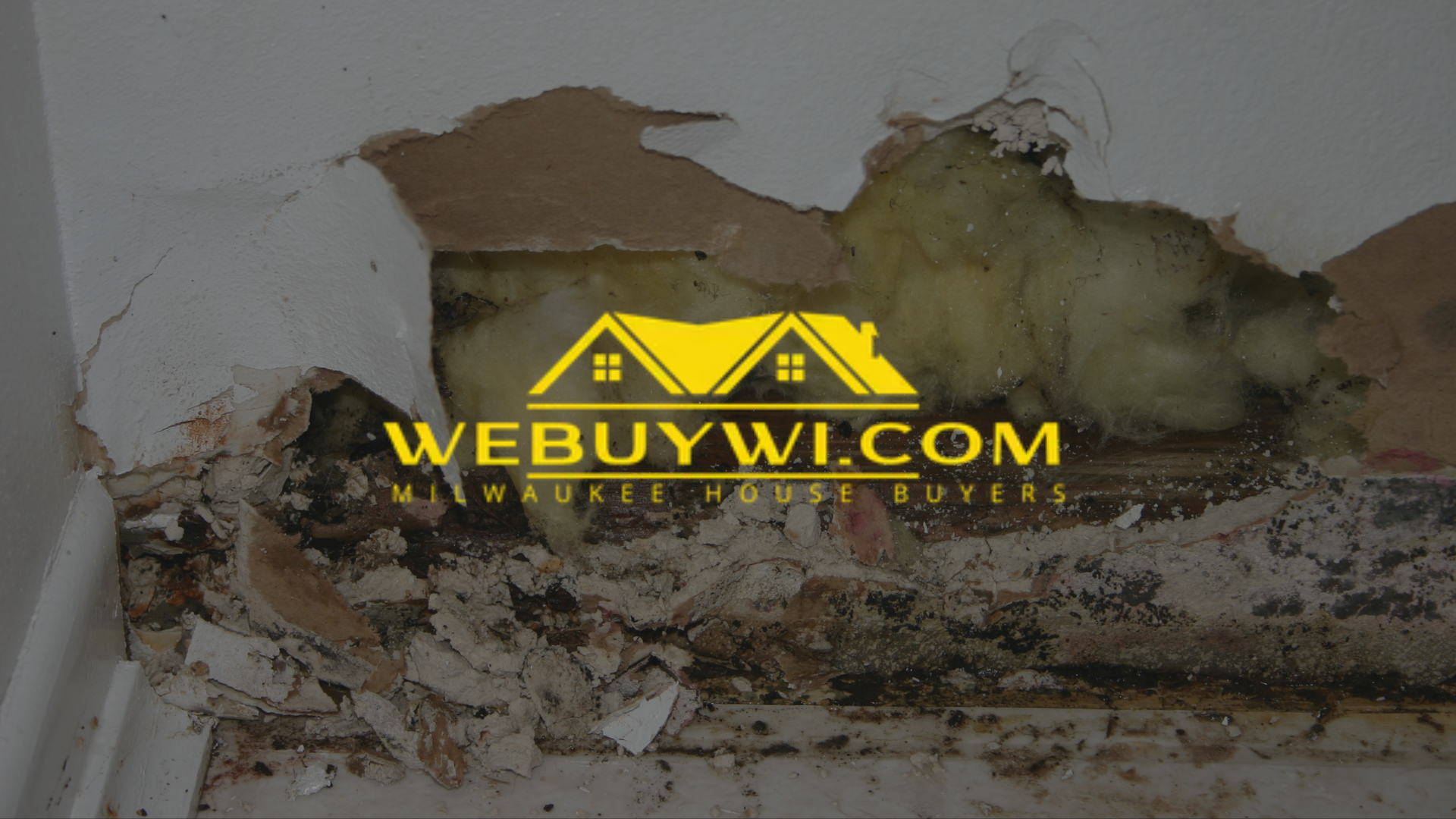 Damaged wall with exposed insulation, dark mold, and crumbling plaster.
