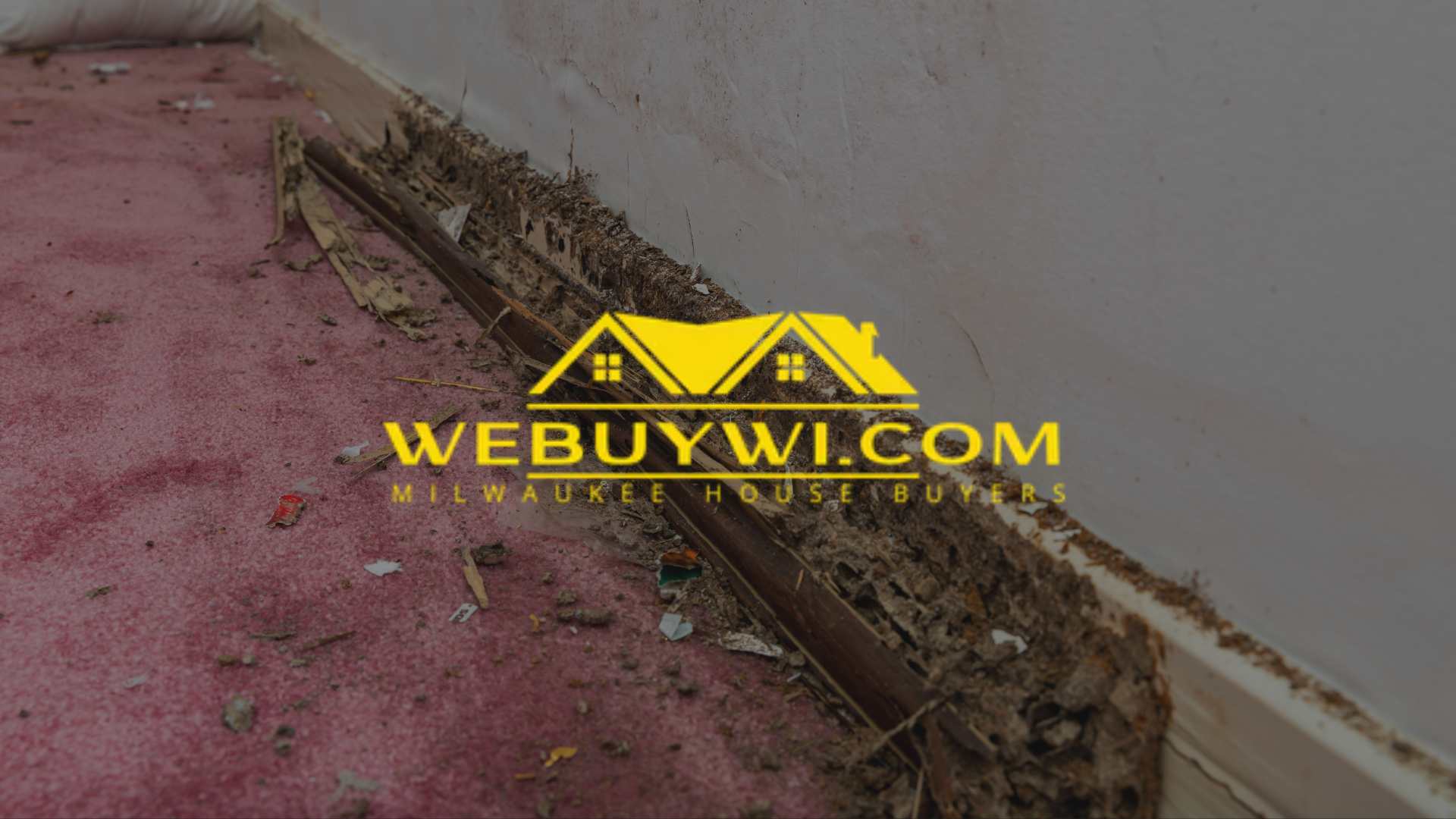 Water Damage to the wall and carpet near the baseboard. Debris and water damage apparent.