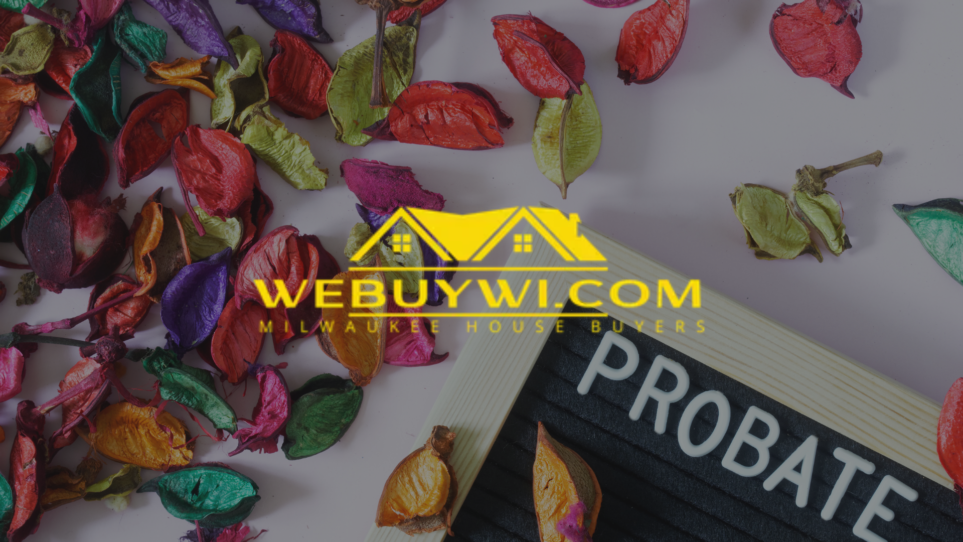 Logo for WeBuyWI.com over dried leaves, next to