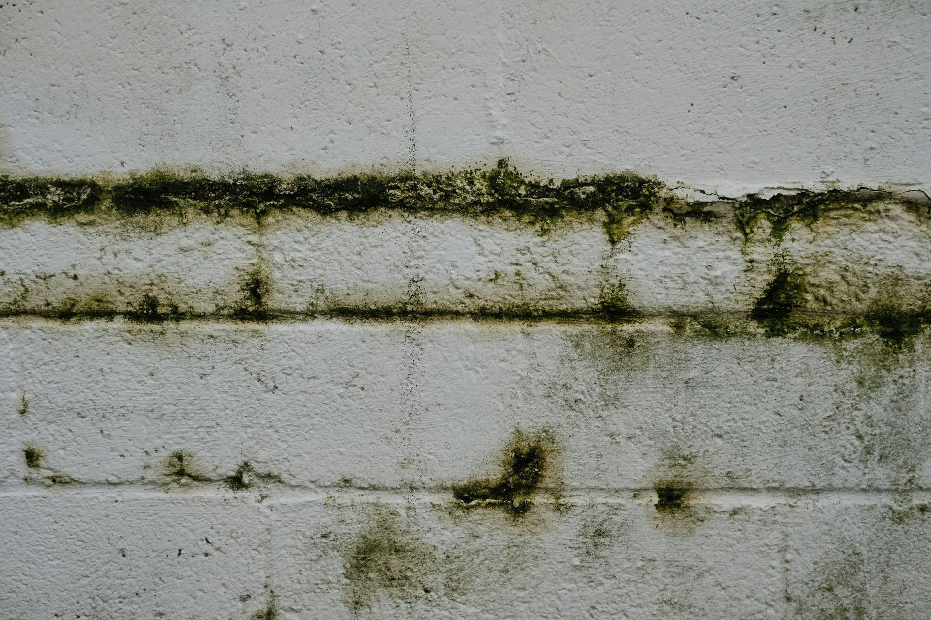 A white textured concrete block wall with horizontal mortar joints stained by green moss and dark, damp patches.