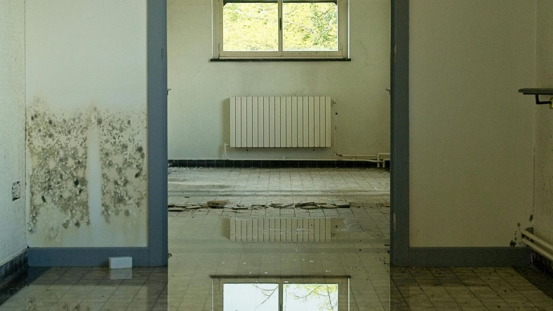 An interior view through a doorway showing a room with a window, a radiator, and standing water reflecting on the floor.