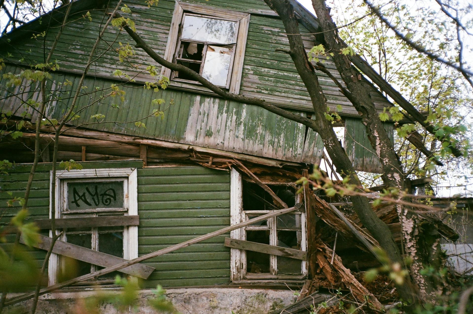 Collapsed green wooden house with broken roof and boarded windows, surrounded by overgrown trees