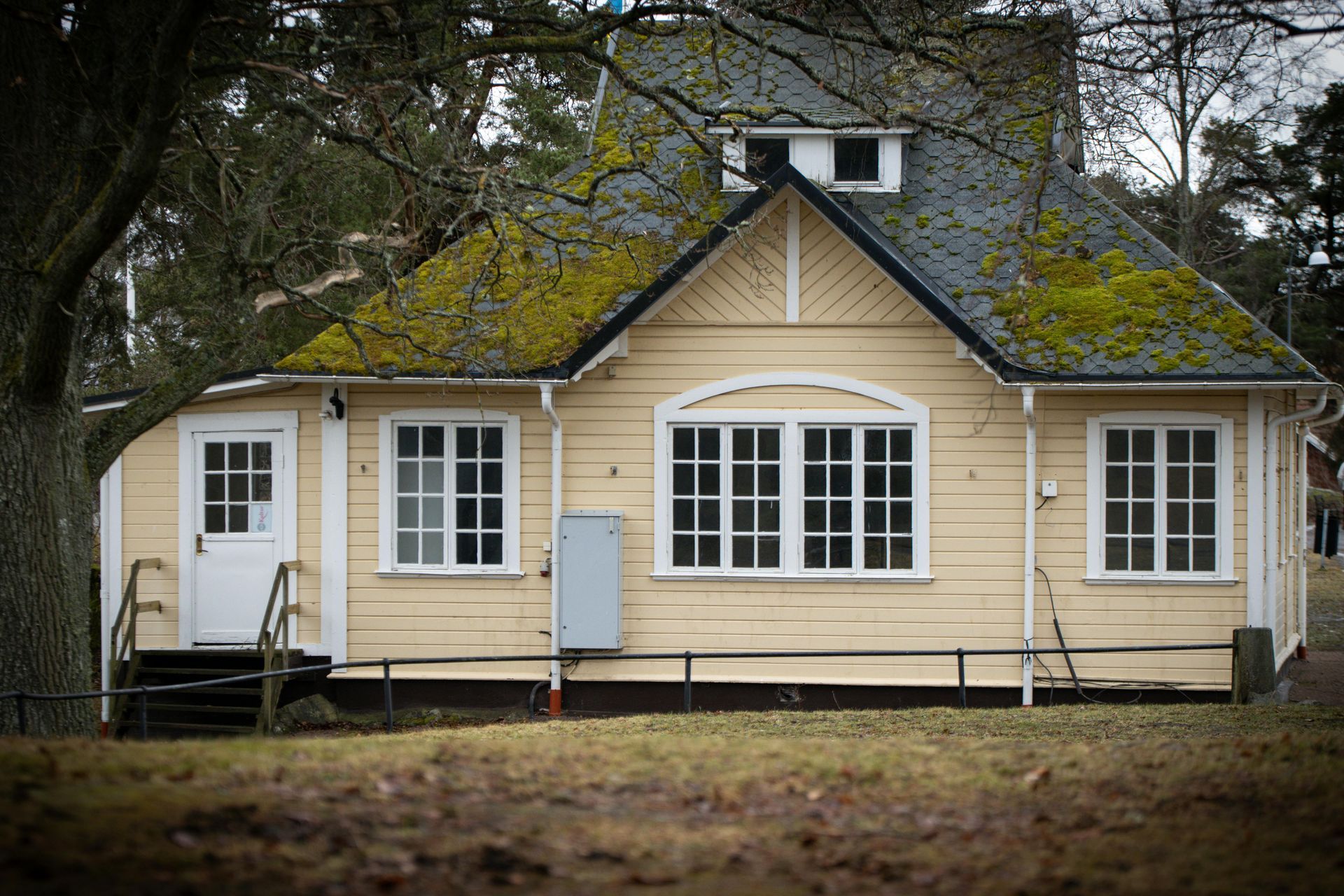 A light yellow, single-story house with moss on the roof, white window frames, a front door, and a brown lawn.
