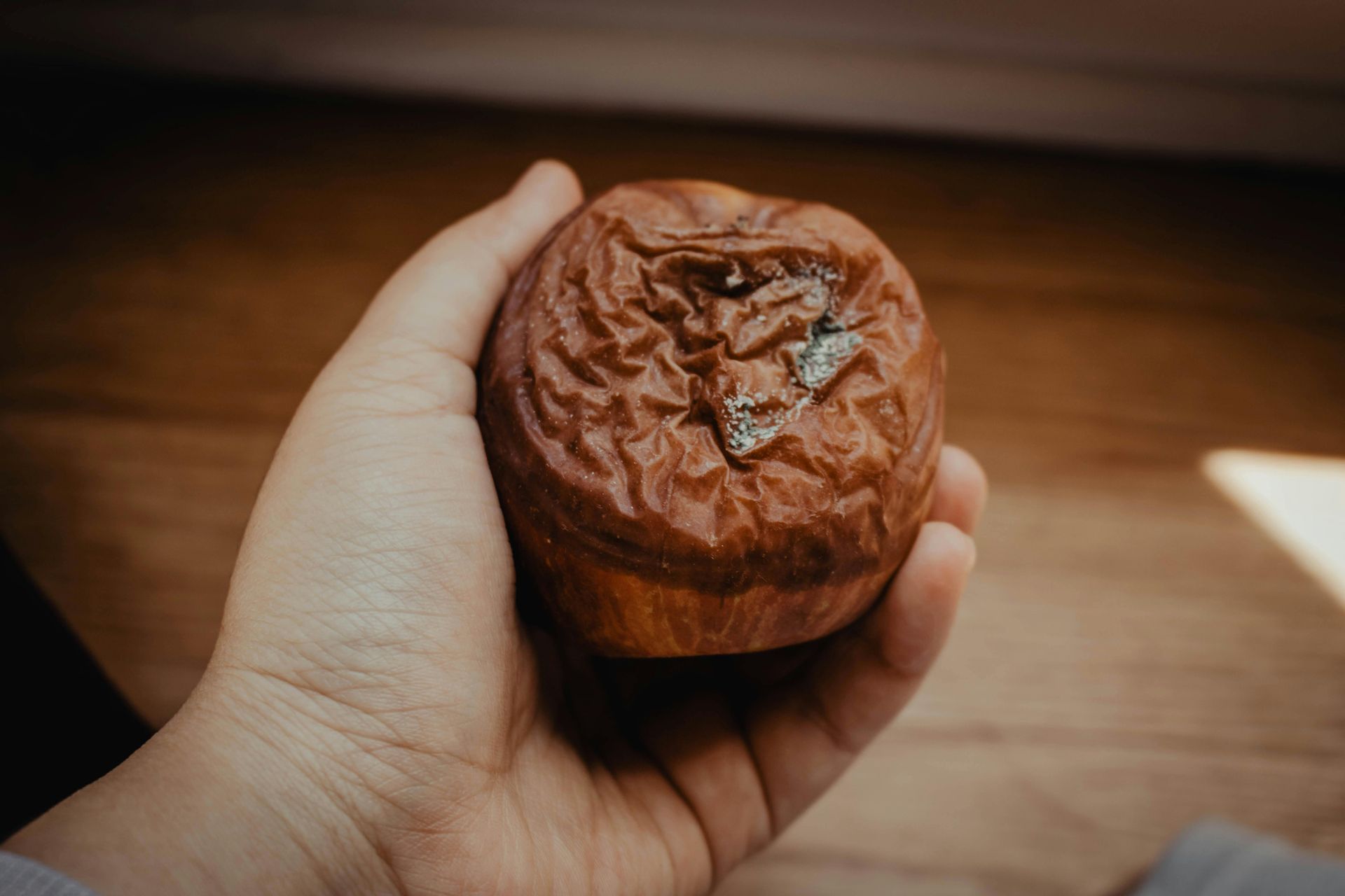 Hand holding a wrinkled brown fruit with a dried, cracked top against a blurred wooden background