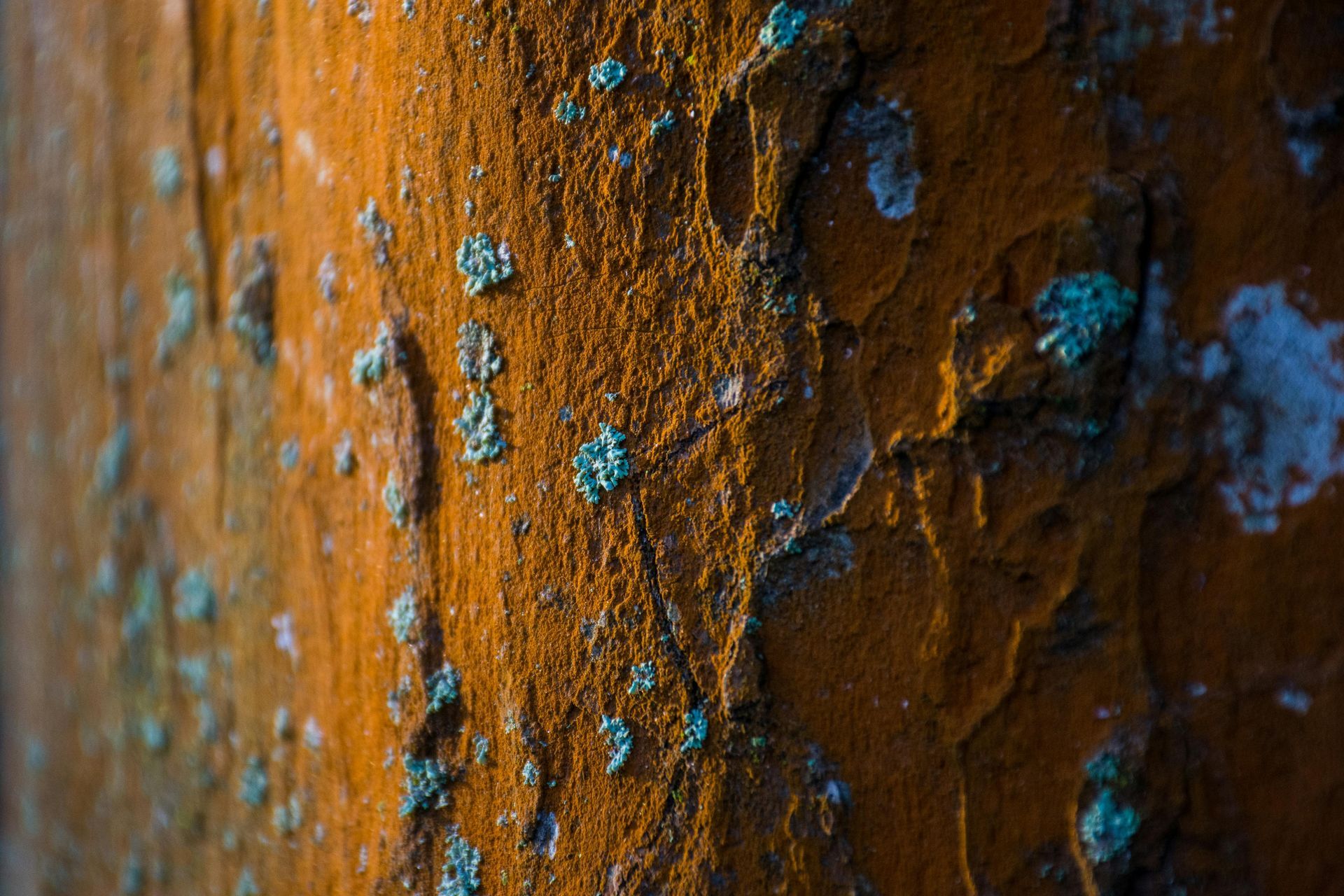 Close-up of orange-brown rusted metal with blue corrosion spots and rough texture