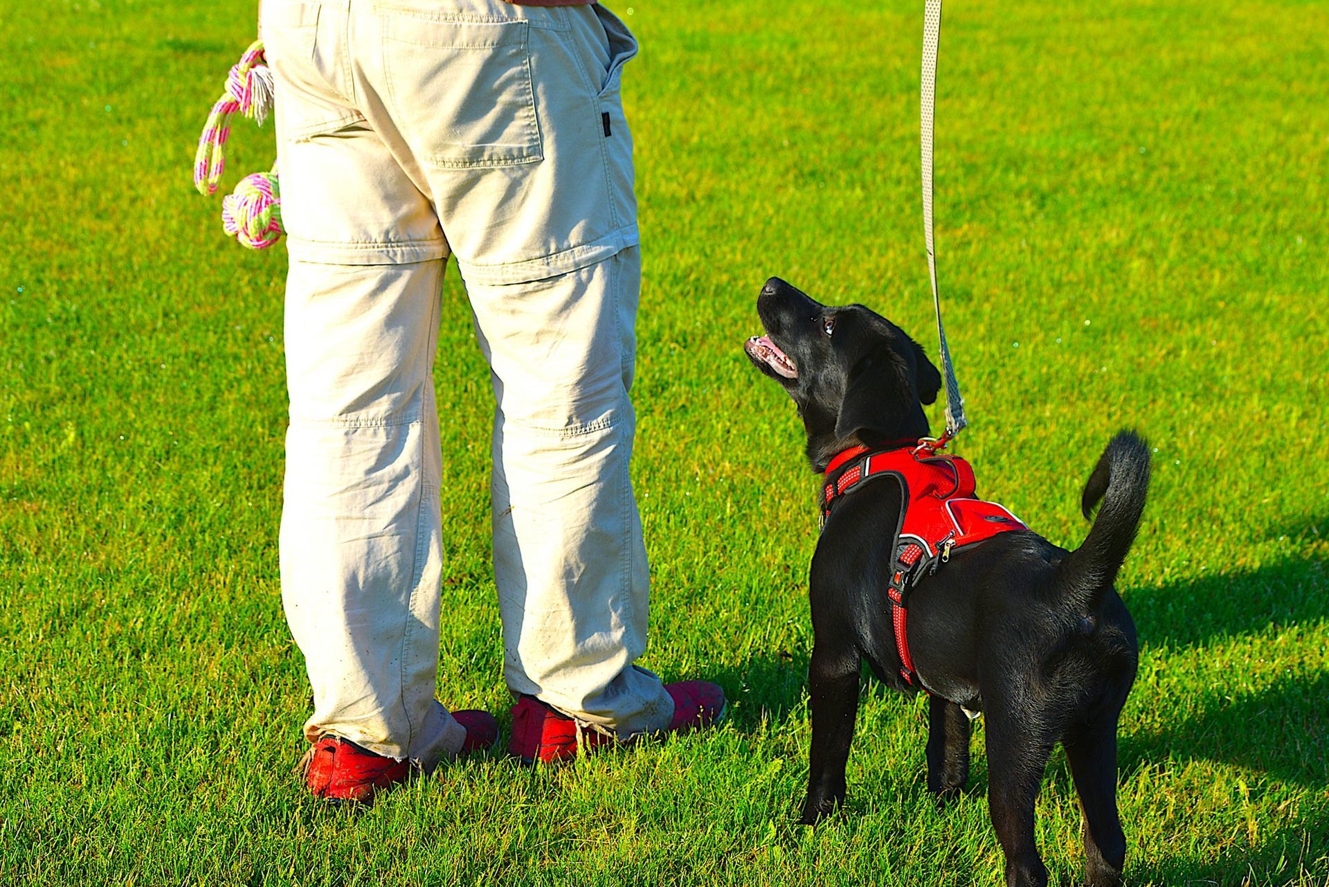 A man is standing next to a black dog on a leash.