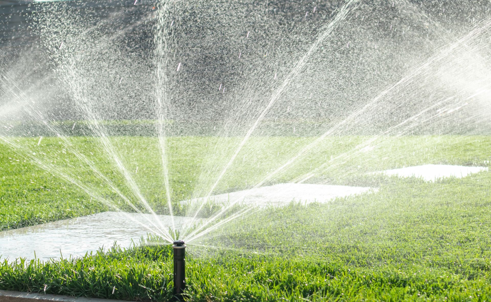 Garden irrigation system lawn. Automatic lawn sprinkler watering green grass. Selective focus.