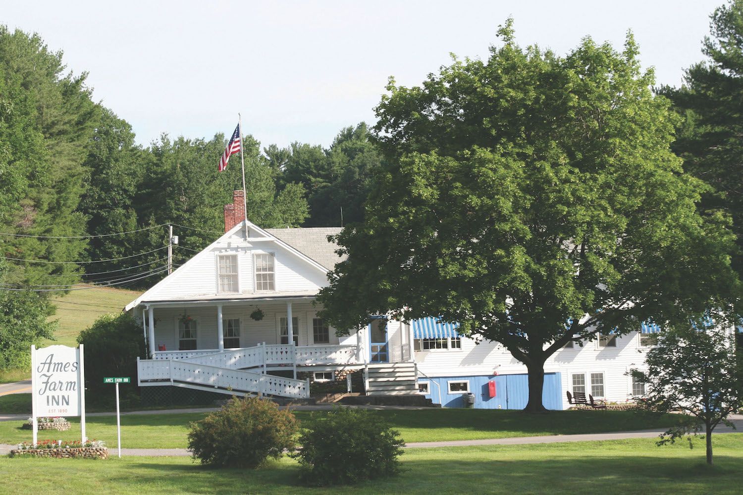 A white house sits in the middle of a lush green field