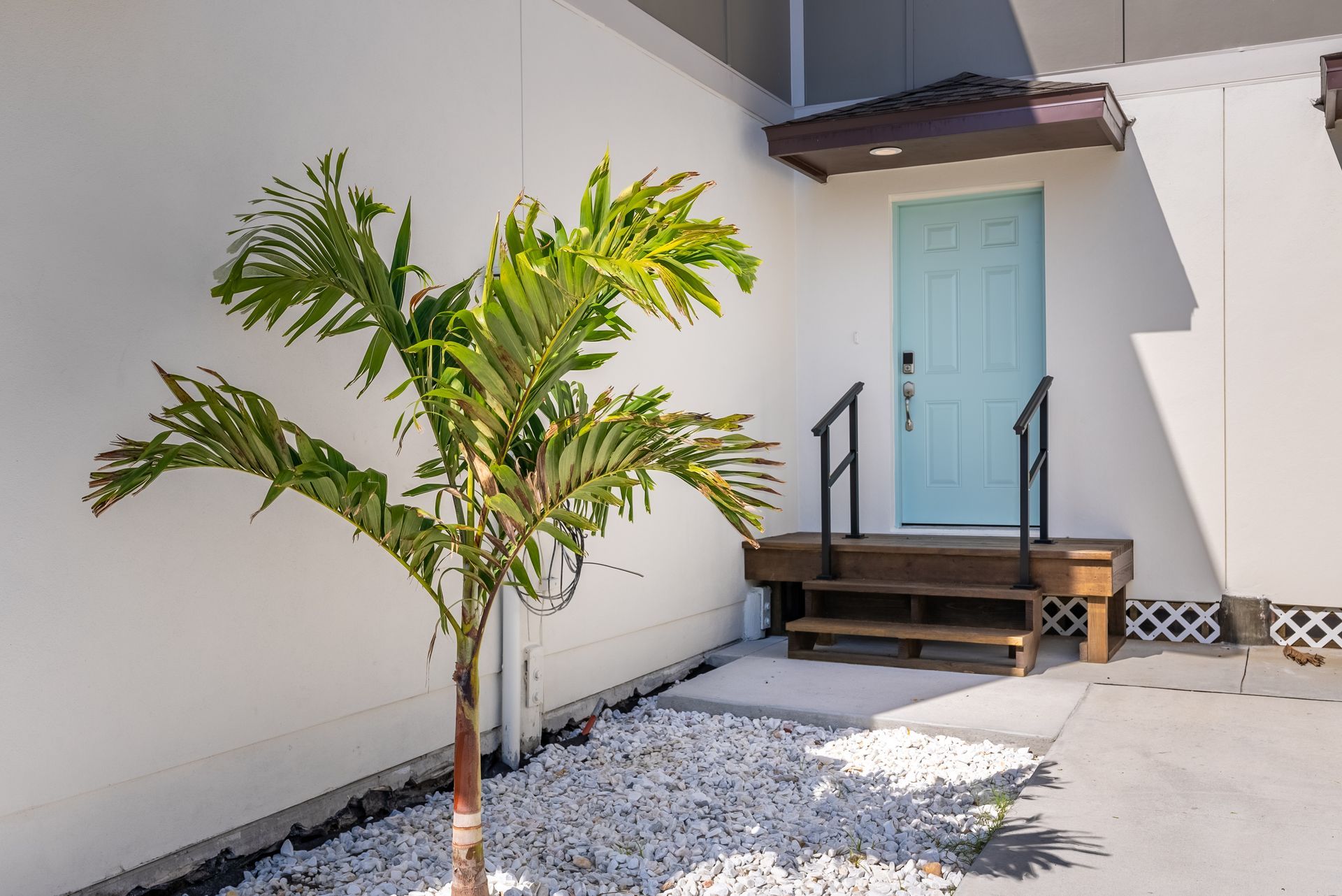 a palm tree is in front of a white apartment with a blue door at Whitney Place Apartments in Clearwater, FL