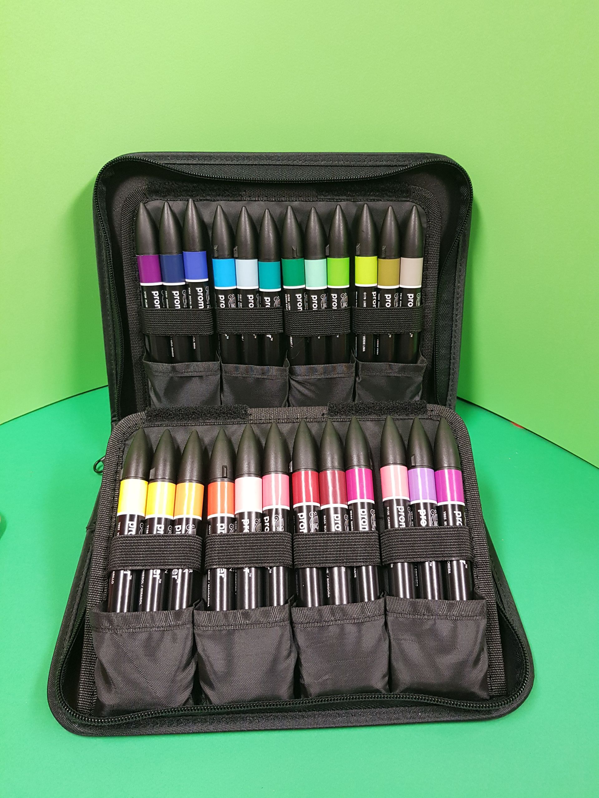 Custodia nera aperta, che rivela diversi pennarelli colorati disposti ordinatamente su una superficie verde.
