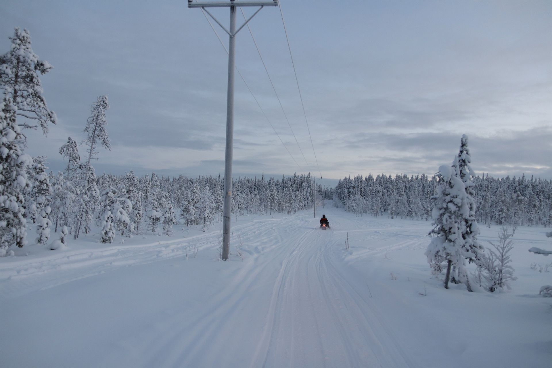 Paysage enneigé avec une motoneige circulant sur un sentier ; arbres et poteau électrique dans le décor.