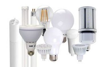 Il existe de nombreux types d’ampoules sur fond blanc.