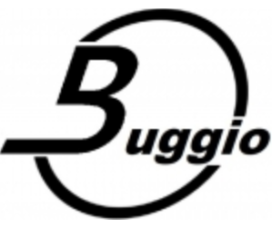 LOGO BUGGIO SRL