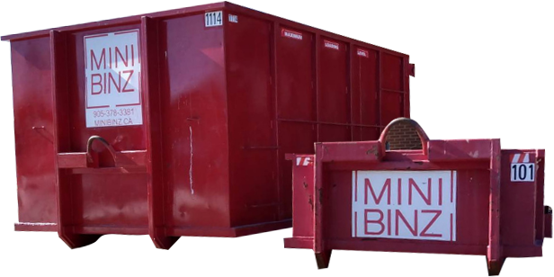 November Cleanup and Community Giving in St Catharines ON | Mini Binz