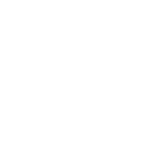 Mini Binz logo