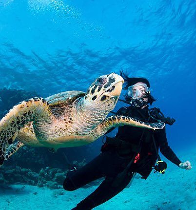 Diver and sea turtle swim underwater; diver looks towards turtle with dark blue ocean backdrop.