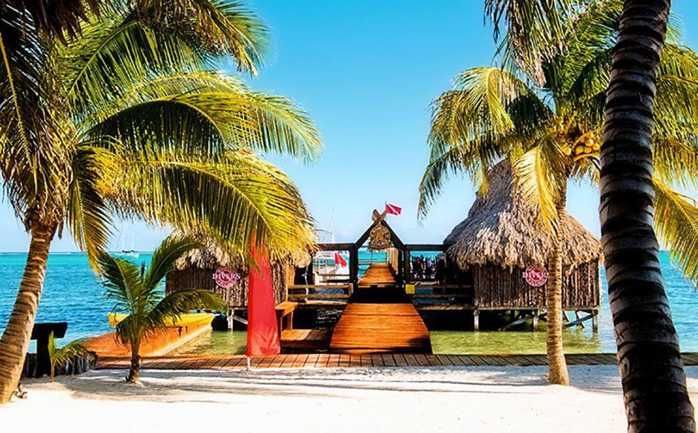 Beachfront huts on wooden dock, palm trees, blue water, sunny day.