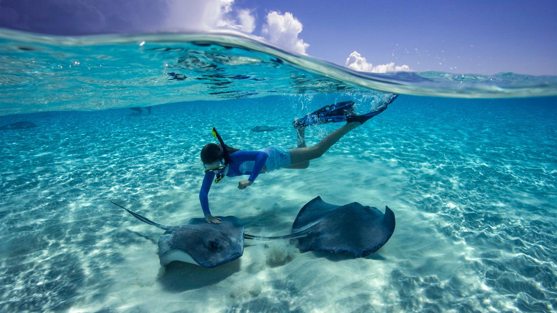 Woman snorkeling interacts with stingrays in clear, shallow water; blue sky overhead.