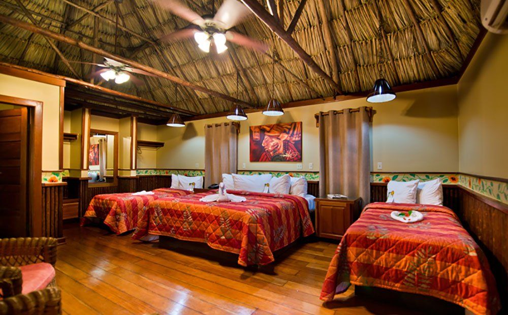 Spacious bedroom with wood floors, three beds with red patterned covers, and a straw-thatched ceiling.